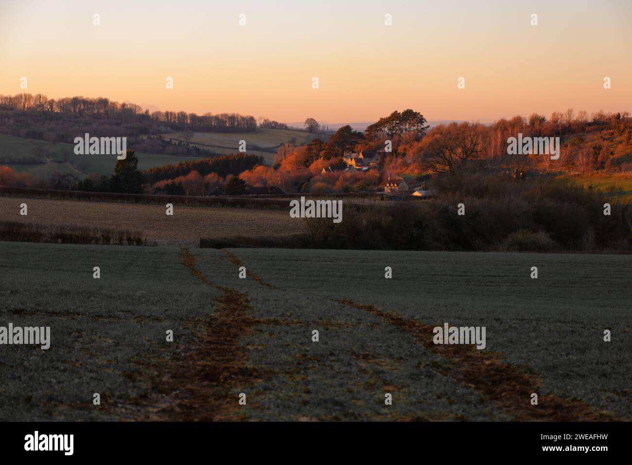 Inglescombe hi-res stock photography and images - Alamy