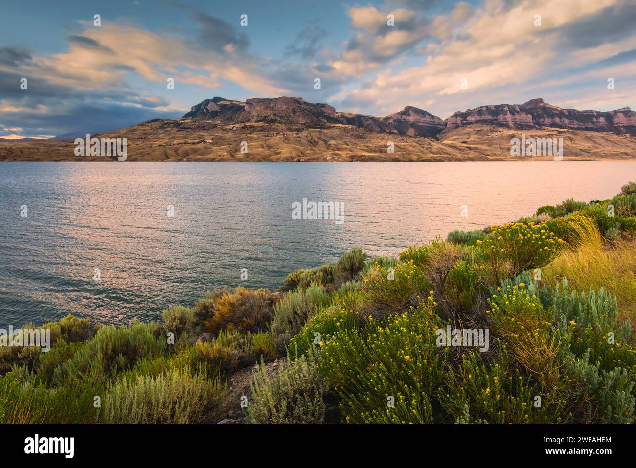 Cody, Wyoming, USA - View across the Shoshone river and reservoir flanked by the foothills of the Rockies on the horizon abd wild plants and flowers i Stock Photo