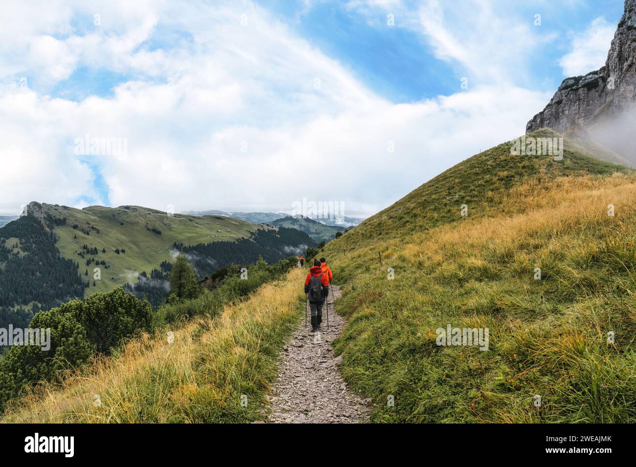 Group of active hiker hiking on Swiss Alps trail in sunny day during ...