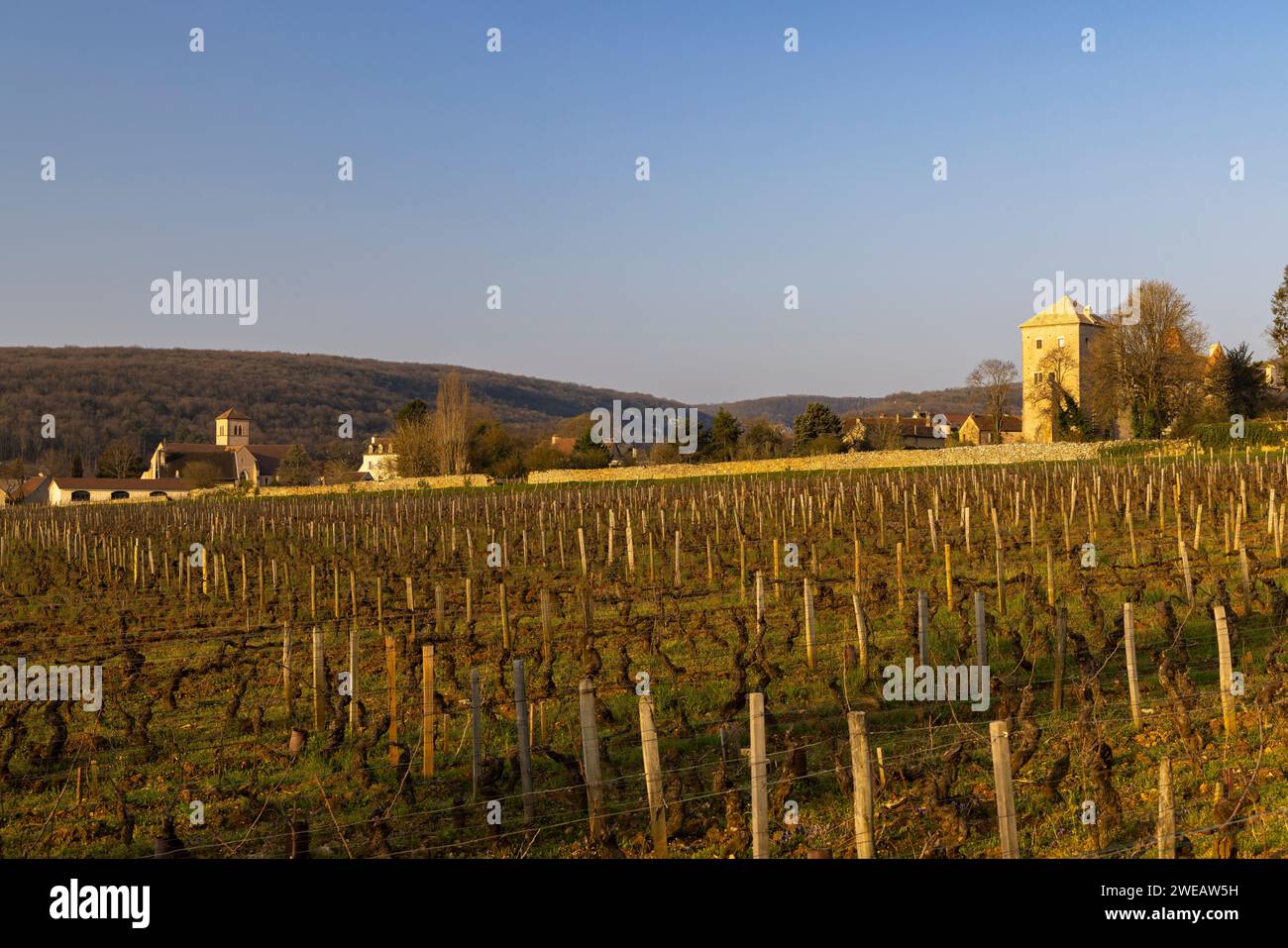 Chateau De Charodon Gevrey Chambertin Les Jeunes Rois main image 0