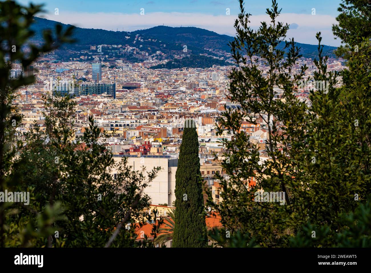View of Barcelona from Montjuic. Barcelona is one of the densest cities in Europe, with high levels of car use. Stock Photo