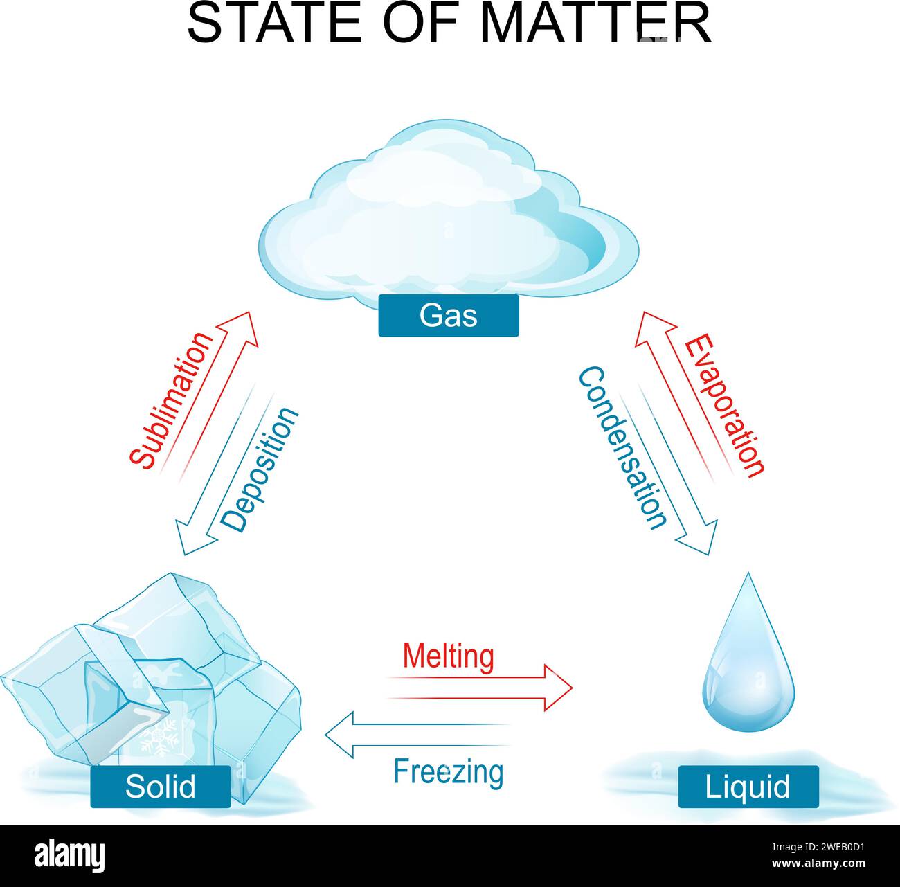 states of matter. phase or state of matter and phase transition. different phase transitions for example water. Vector illustration Stock Vector