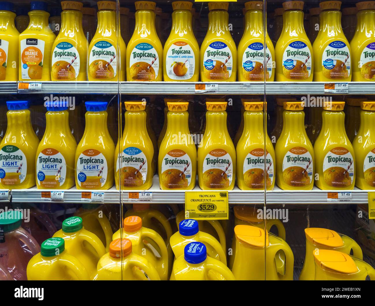 Bottles of Tropicana orange juice are seen in a supermarket refrigerator case in New York on Monday, January 15, 2024. Orange juice prices are high because crops in Florida are being hit with a combination of bad weather and citrus crop disease. Tropicana is owned by PAI Partners with 39% still retained by Pepsico. (© Richard B. Levine) Stock Photo
