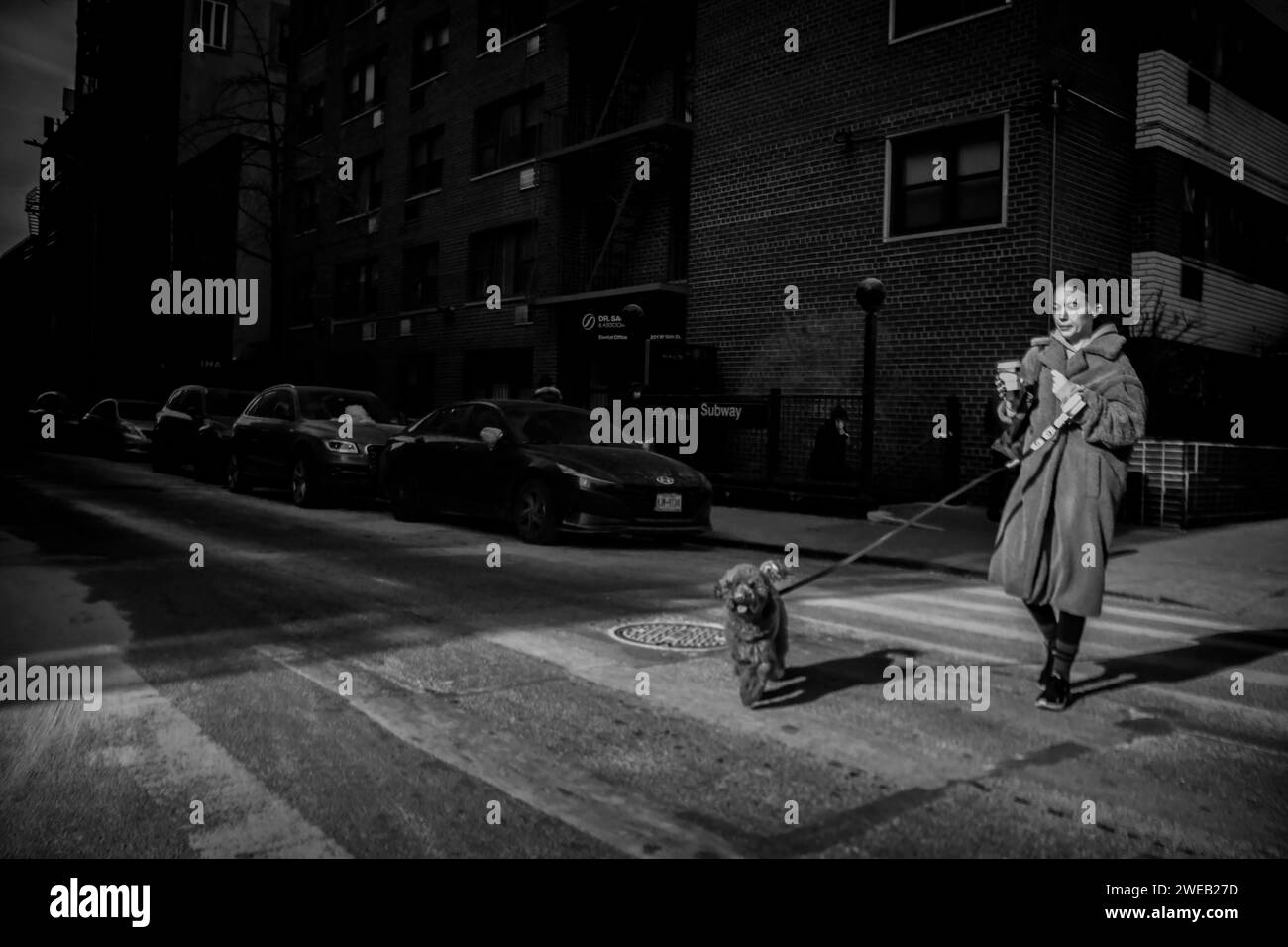 Dog walking in Chelsea in New York on Monday, January 22, 2023 (© Richard B. Levine) Stock Photo