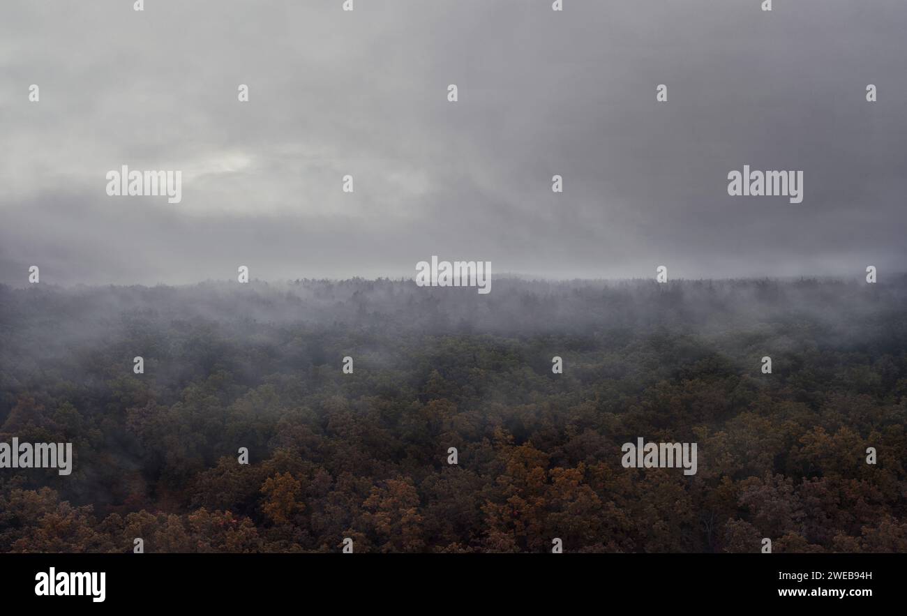 Mysterious foggy forest scenery hi-res stock photography and images - Alamy