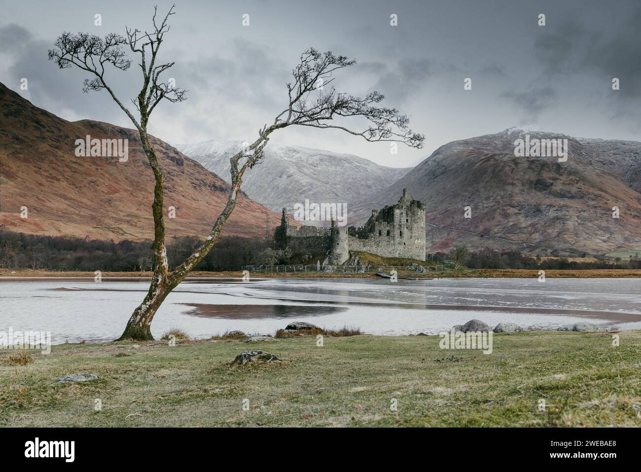 Lone tree at Loch Awe - Kilchurn Castle Stock Photo