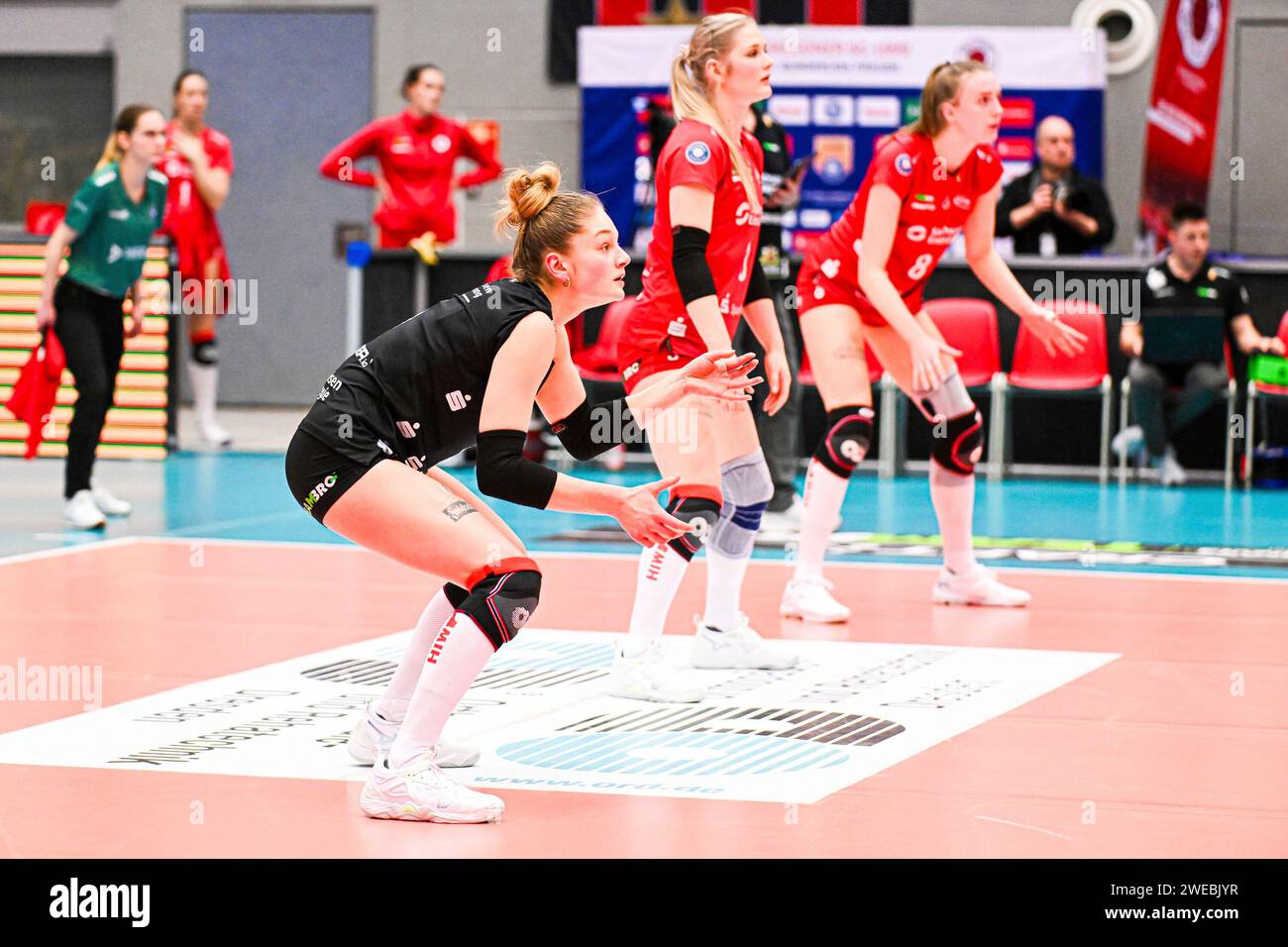 Dresden, Deutschland. 24th Jan, 2024. Lotte Goertz (Dresdner SC, 5) 1