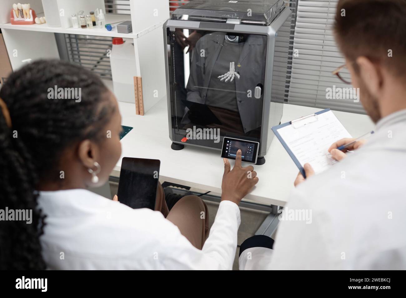 Two Technicians Creating 3D Anatomical Models Stock Photo
