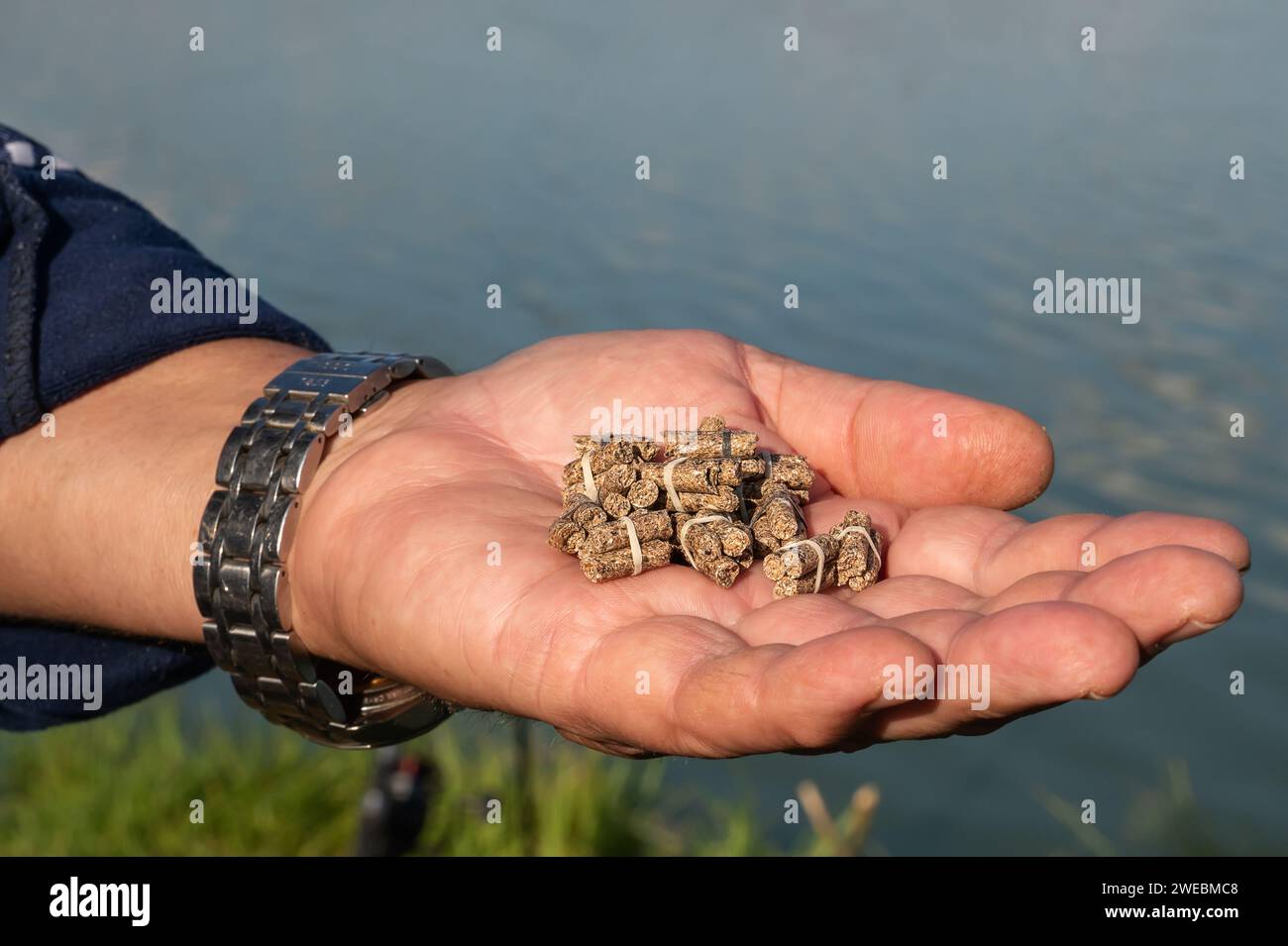 Pellets in the fisherman's hand. A fisherman with bait. Close-up of a hand holding feed. Colorful view, blurred background, selective focus. Copy spac Stock Photo
