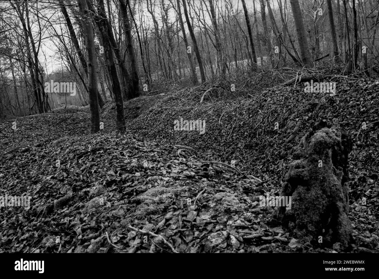 Remains first world war trenches Black and White Stock Photos & Images ...
