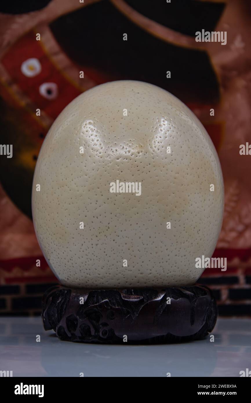 Ostrich big size egg placed on wooden stand, isolated Stock Photo