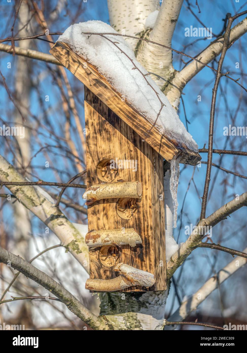 Bird feeder attached to a tree on a cold winter day Stock Photo