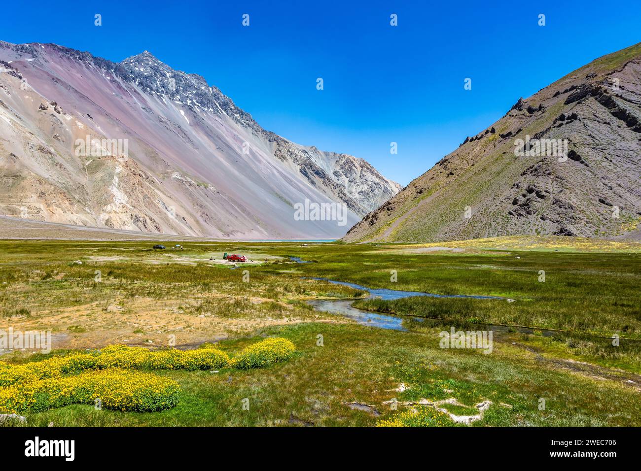 Lush green meadow between the mountains of high Andes. Valle de Yeso, Chile, South America. Stock Photo