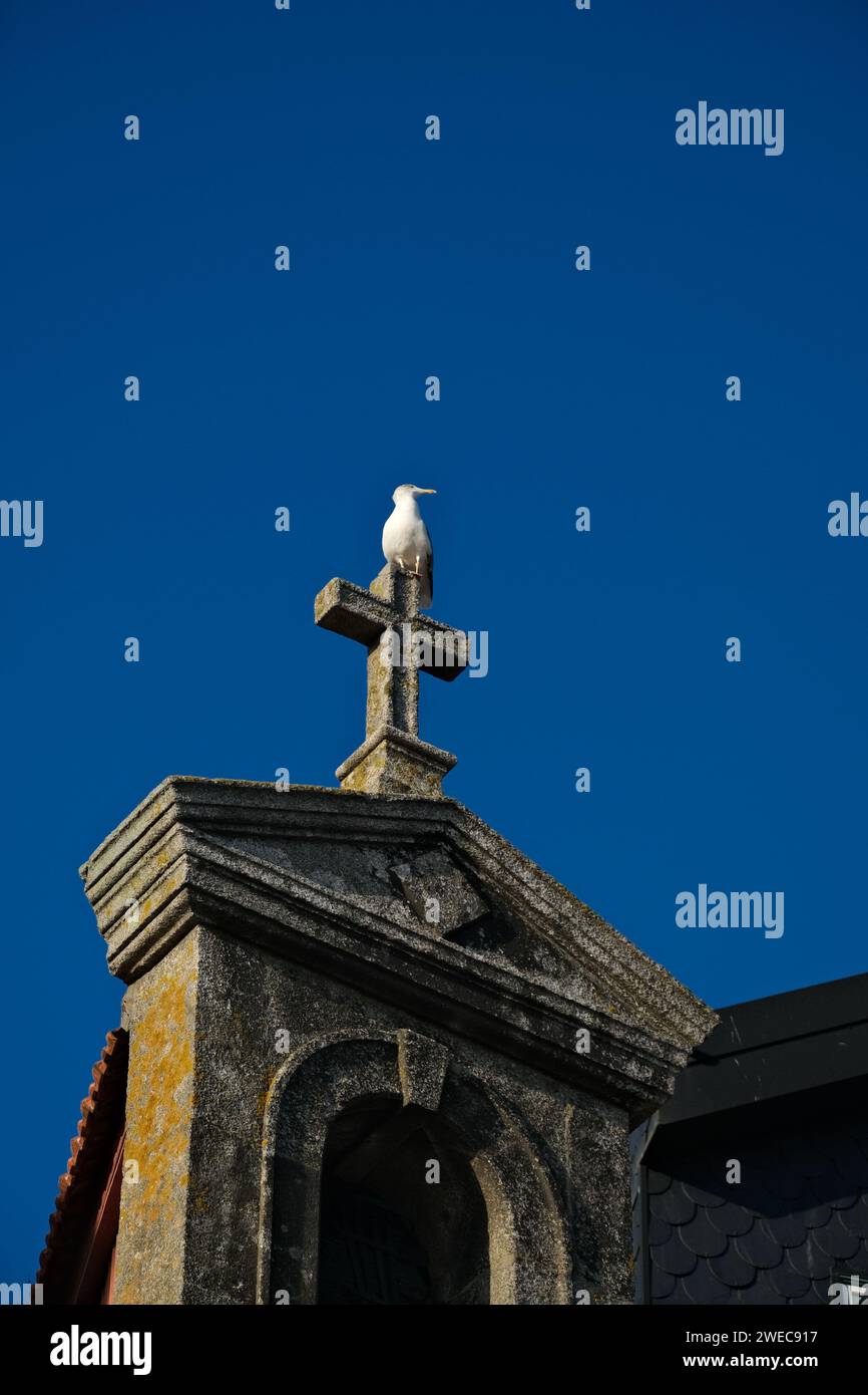 Journey through time in this ancient church. Its sacred aura and timeless beauty make it a photographer's dream. ?✨ #HistoricChurch #TimelessBeauty Stock Photo
