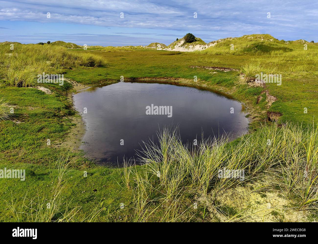 Landscape in the nature reserve at the eastern end of the island of Norderney, Germany, Lower Saxony, Norderney, East Frisia Stock Photo
