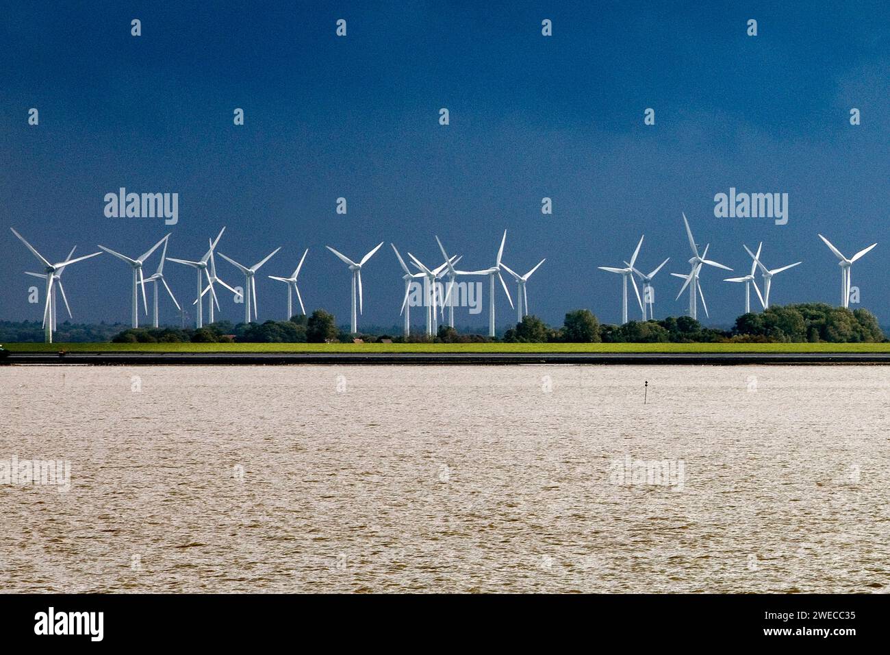 Many wind turbines in the marshland, Germany, Lower Saxony, East Frisia, Norddeich Stock Photo