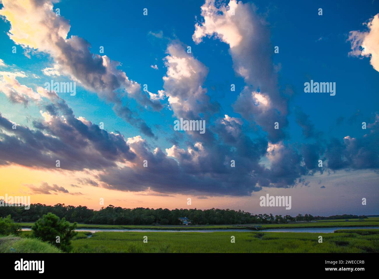 Coastal Landscape Scene in Tybee Island with Fishing Boats Gone