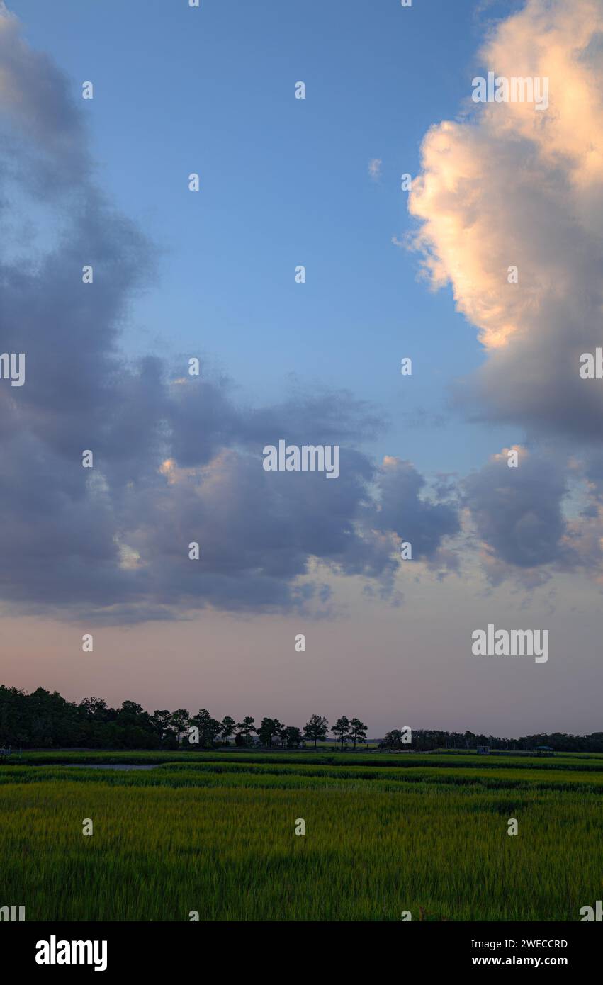 Coastal Landscape Scene in Tybee Island with Fishing Boats Gone