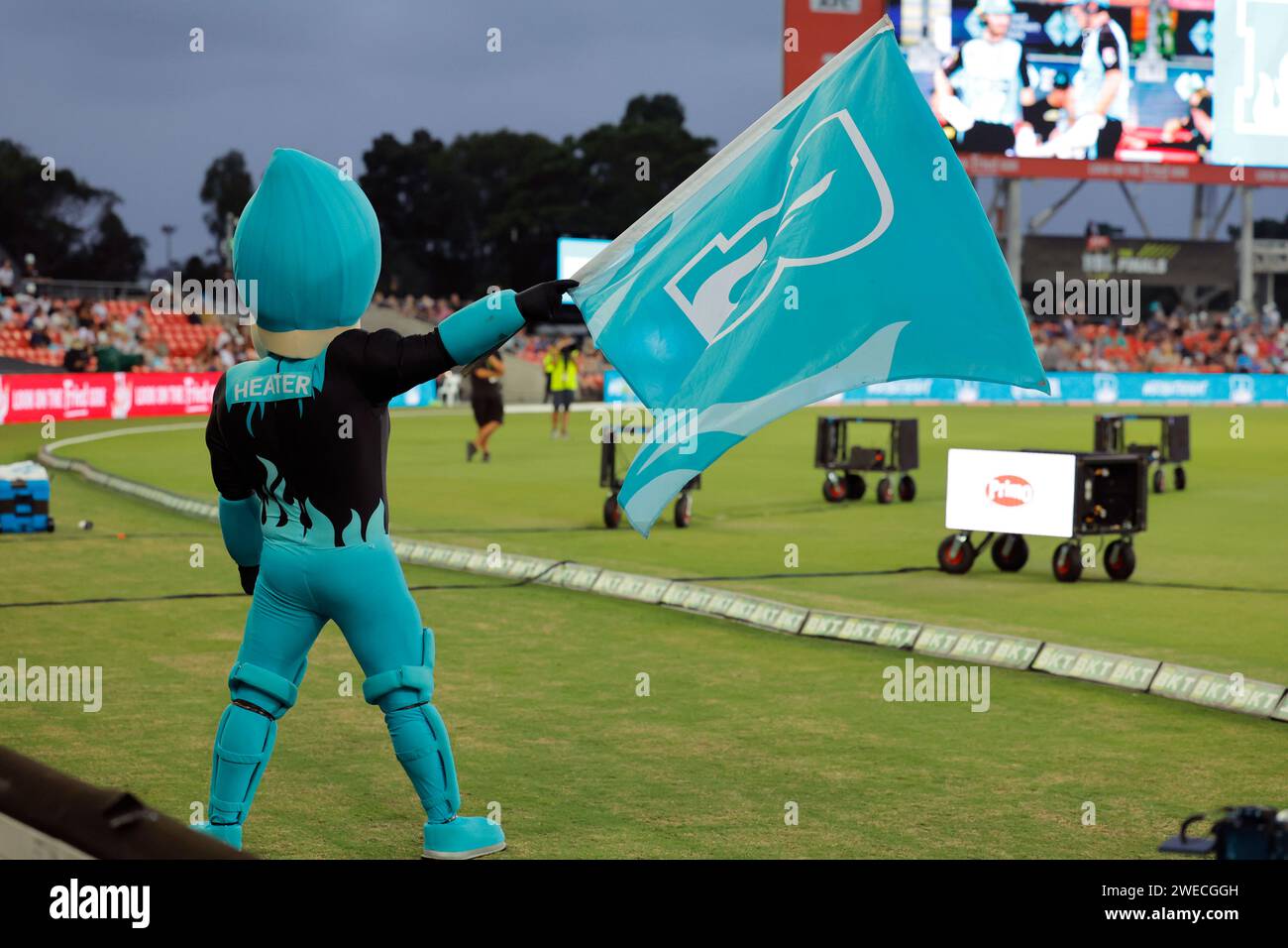 Gold Coast, Australia. 22nd Jan 2024. Brisbane Heat mascot entertains
