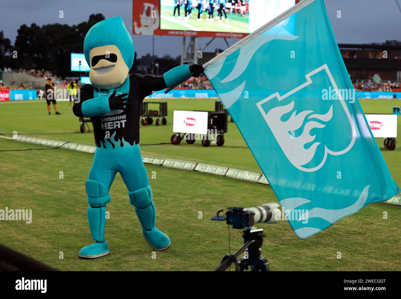 Gold Coast, Australia. 22nd Jan 2024. Brisbane Heat mascot entertains