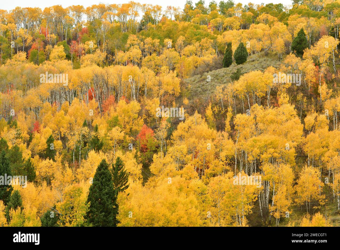 Mountains in the Fall Stock Photo