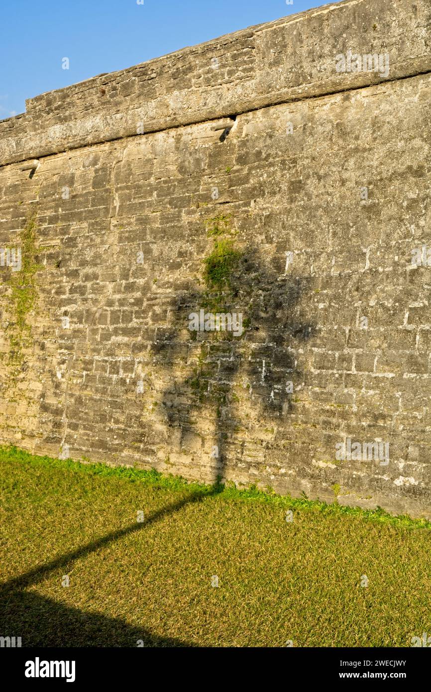 Palm tree shadow projected on coquina stone wall of Castillo de San Marcos National Monument Stock Photo