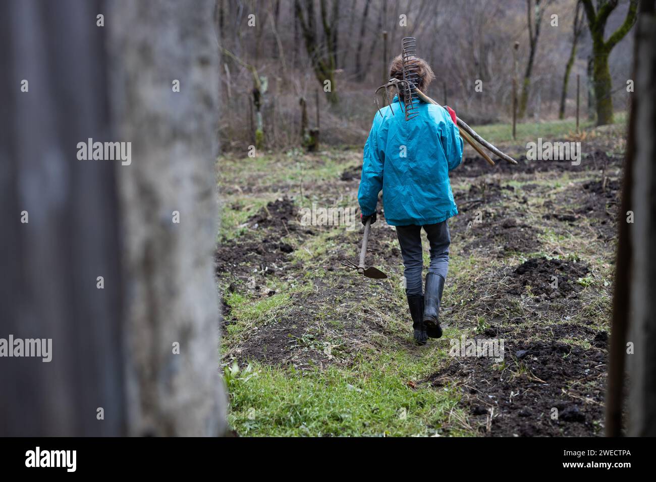 Adult Curly Hair Woman Farmer in Blue Cloths and A Rake in Hands Going on Her Garden in Winter to do Some Work Stock Photo