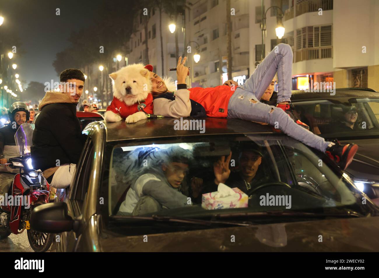 Rabat, Morocco. 24th Jan, 2024. Fans cheer after Morocco defeated Zambia and qualified for the knockout stage of the 34th edition of the Africa Cup of Nations (AFCON) in Rabat, Morocco, Jan. 24, 2024. Credit: Huo Jing/Xinhua/Alamy Live News Stock Photo