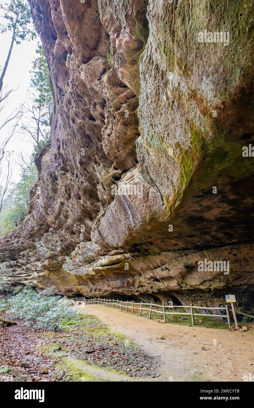 Hazard Cave trail rocks formation at Big South Fork National River and ...