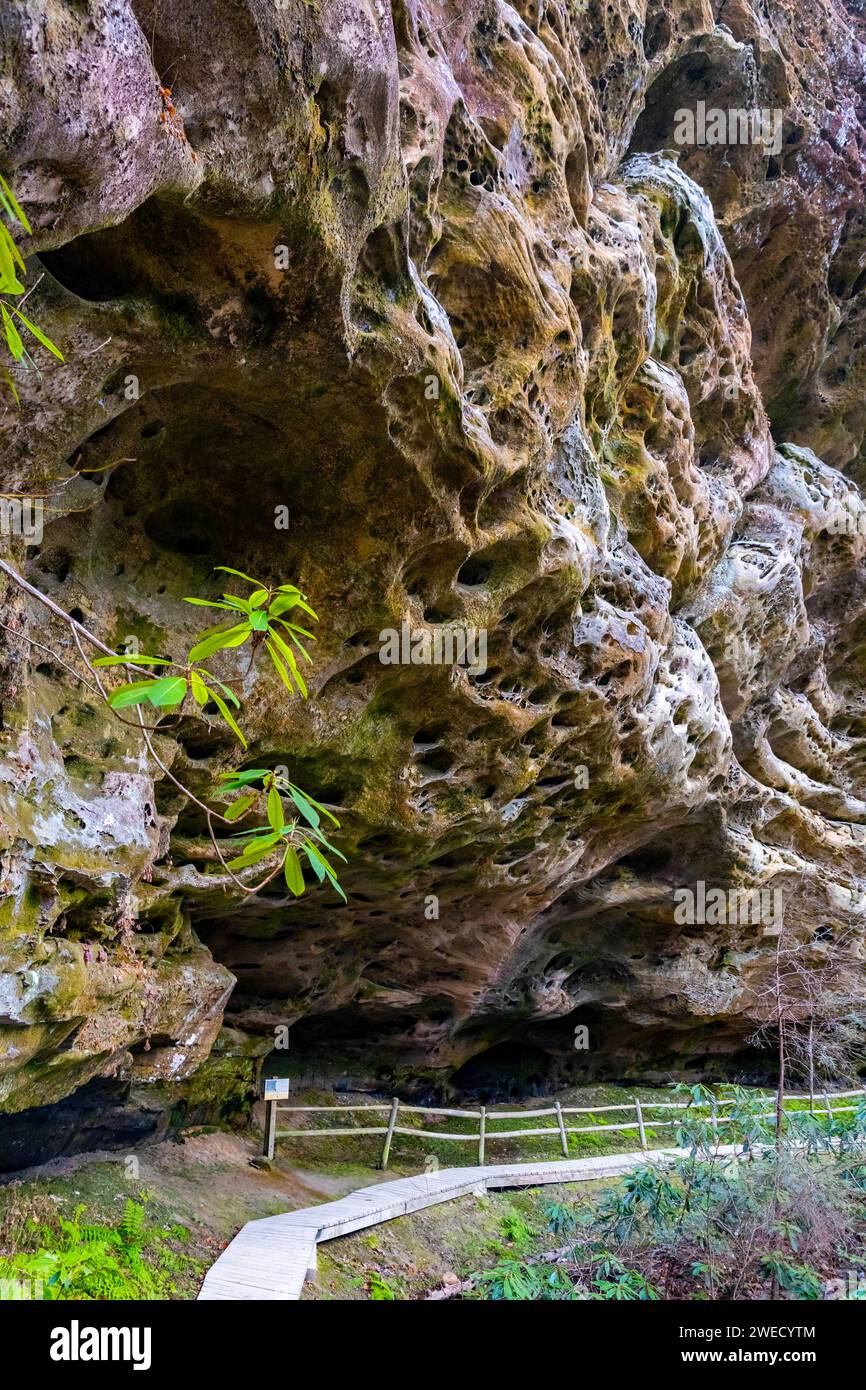 Hazard Cave trail rocks formation at Big South Fork National River and ...