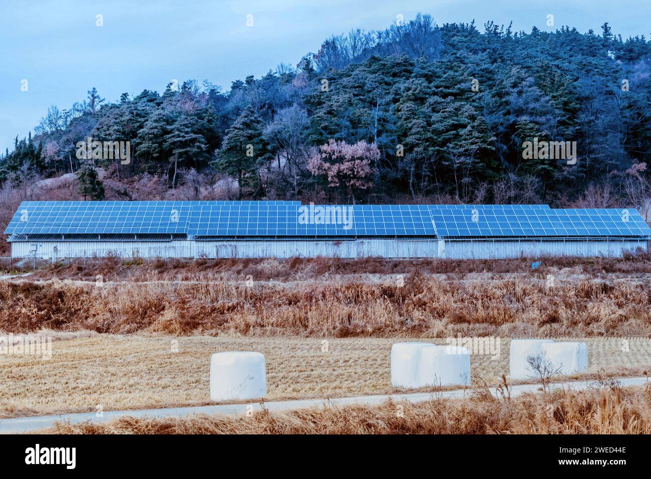 Large array of solar panels setup in countryside in front of hillside ...