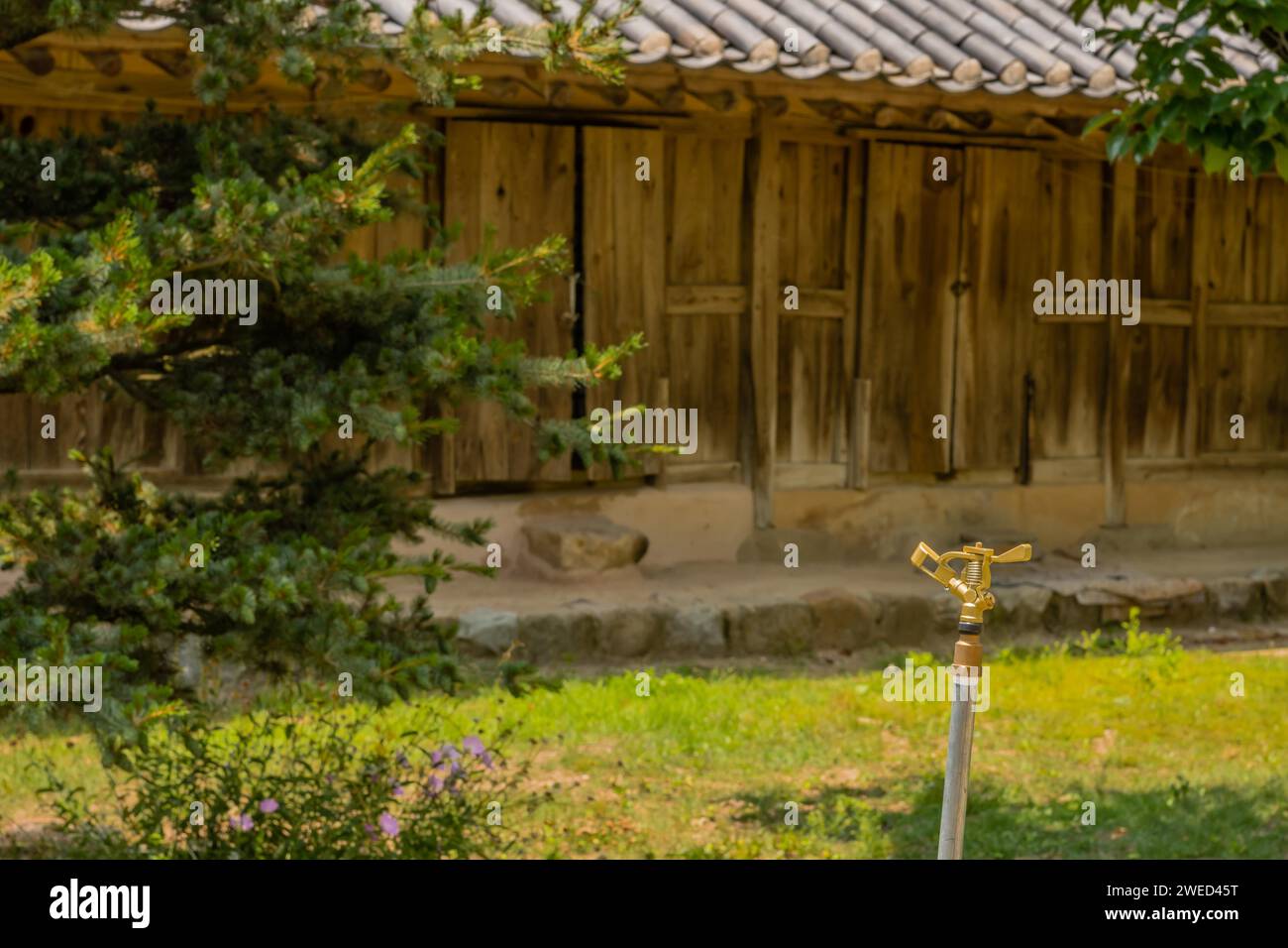 Copper water sprinkler in grassy lawn in front of wooden building located in public park displaying traditional Korean architecture Stock Photo
