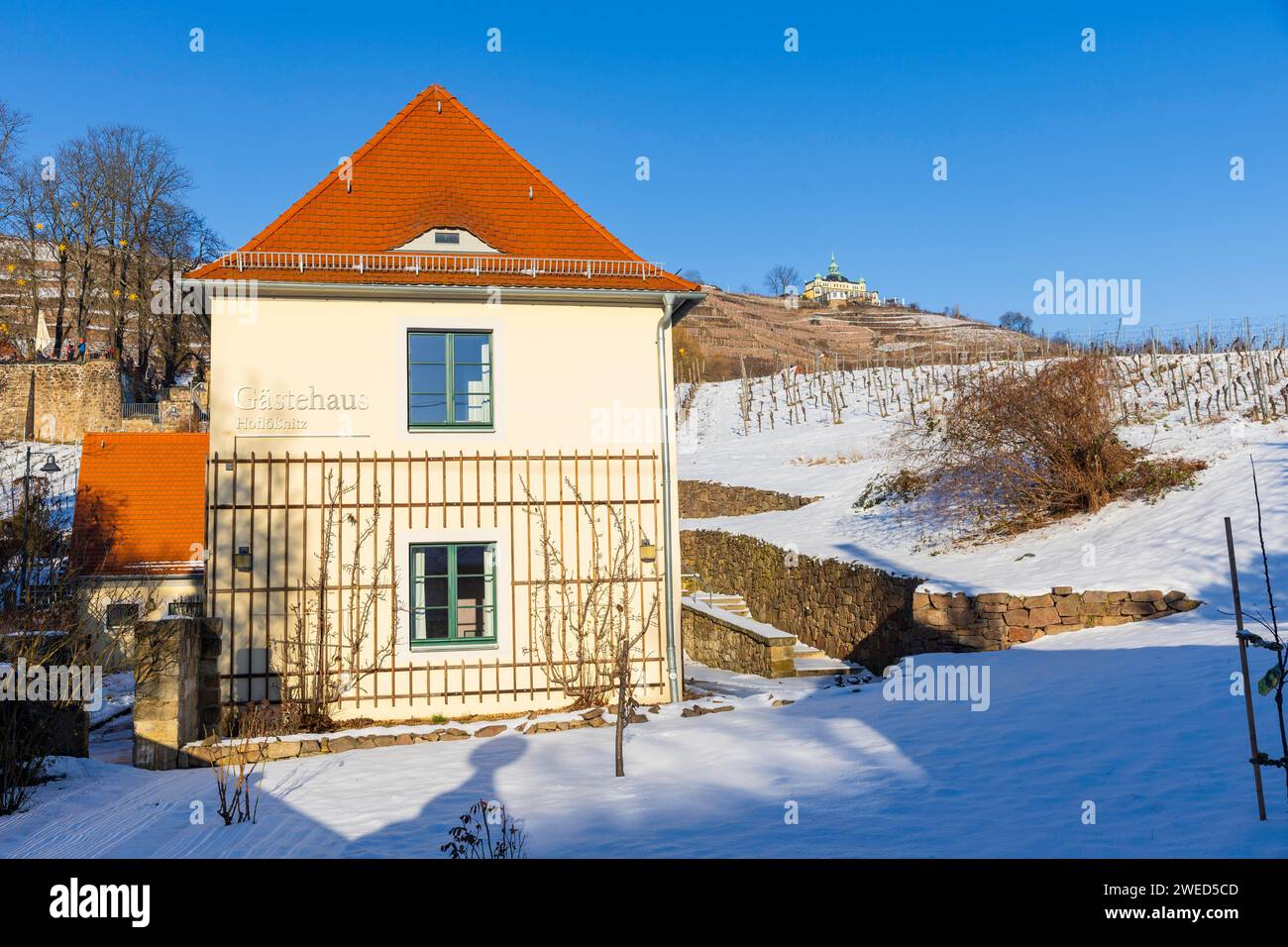 The Hoefloessnitz winery is also a popular destination in winter. Hofloessnitz Guest House, Radebeul, Saxony, Germany Stock Photo