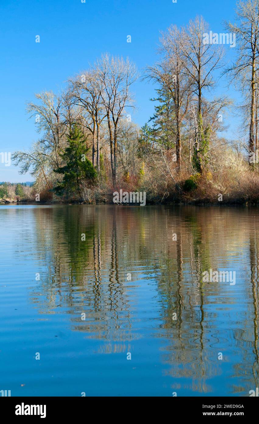 Julia butler hansen refuge for the columbian white tailed deer hires