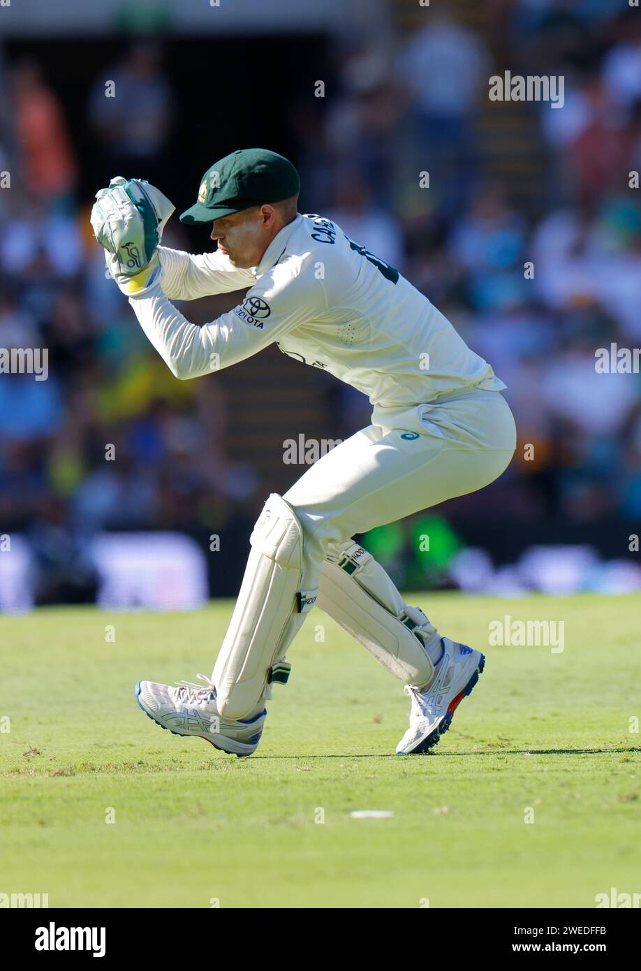Brisbane, Australia. 25th Jan 2024. Alex Carey (4 Australia Wicket ...