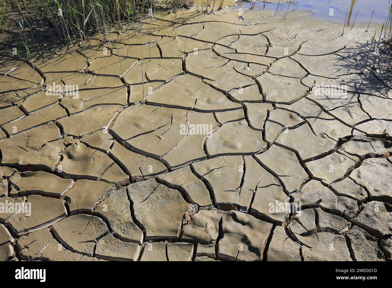 Climate warming dry chapped land Stock Photo - Alamy