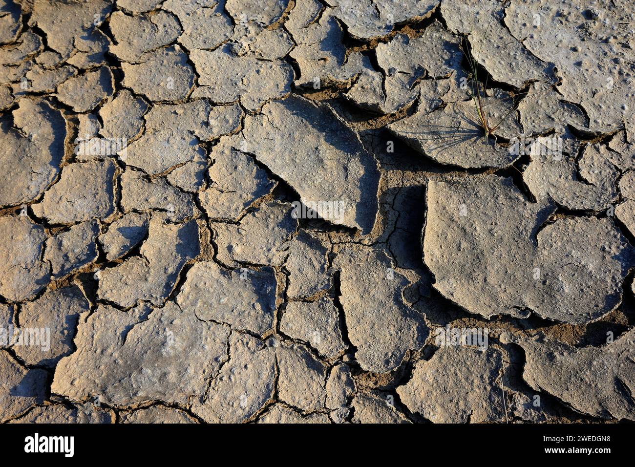 Climate warming dry chapped land Stock Photo - Alamy