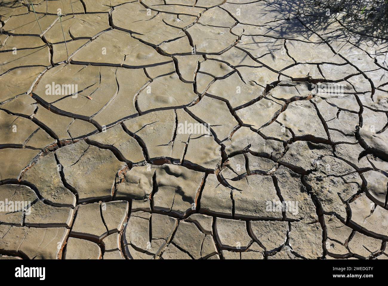 Climate warming dry chapped land Stock Photo - Alamy