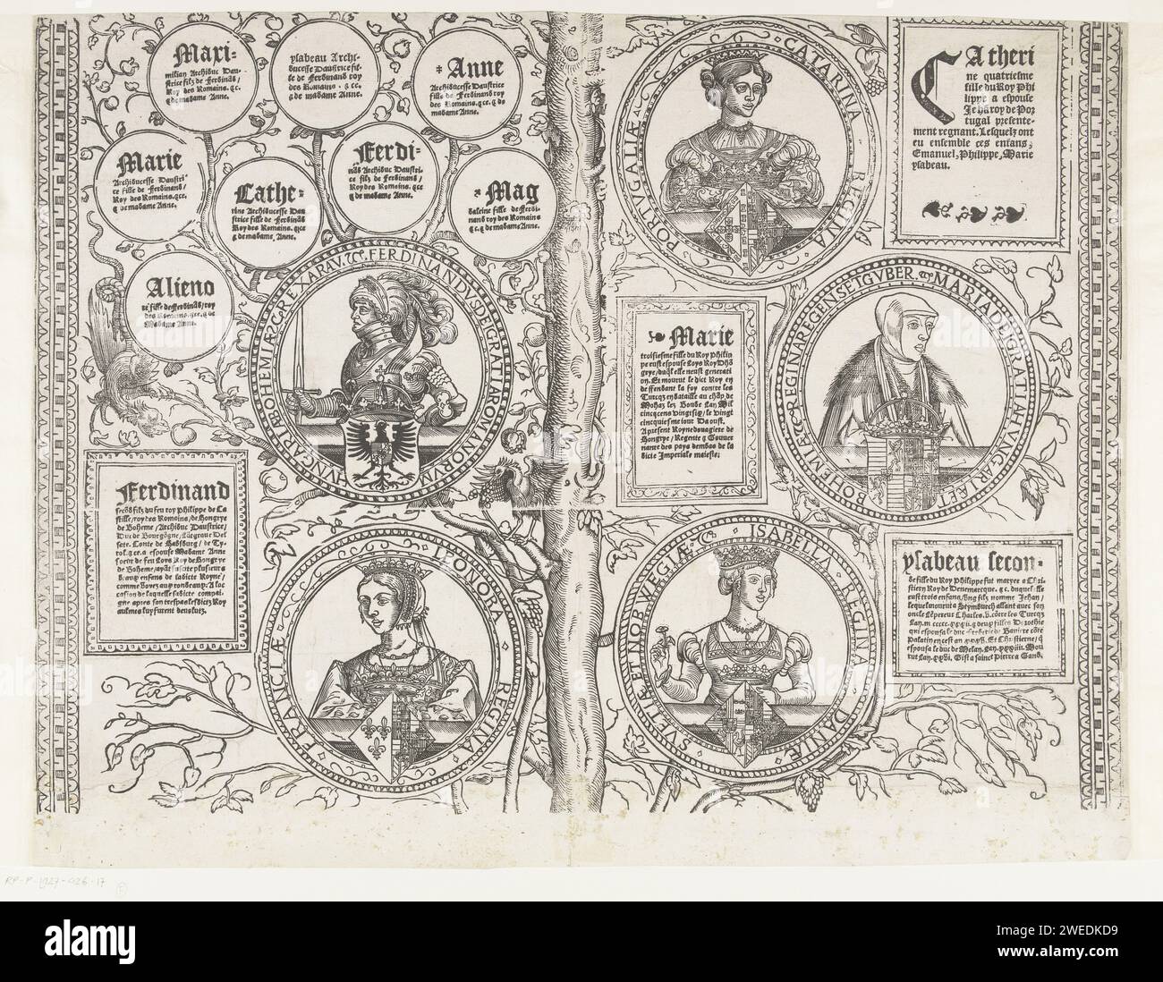 Family tree of the Habsburg house, Seventeen, Robert Péril, 1533 1535