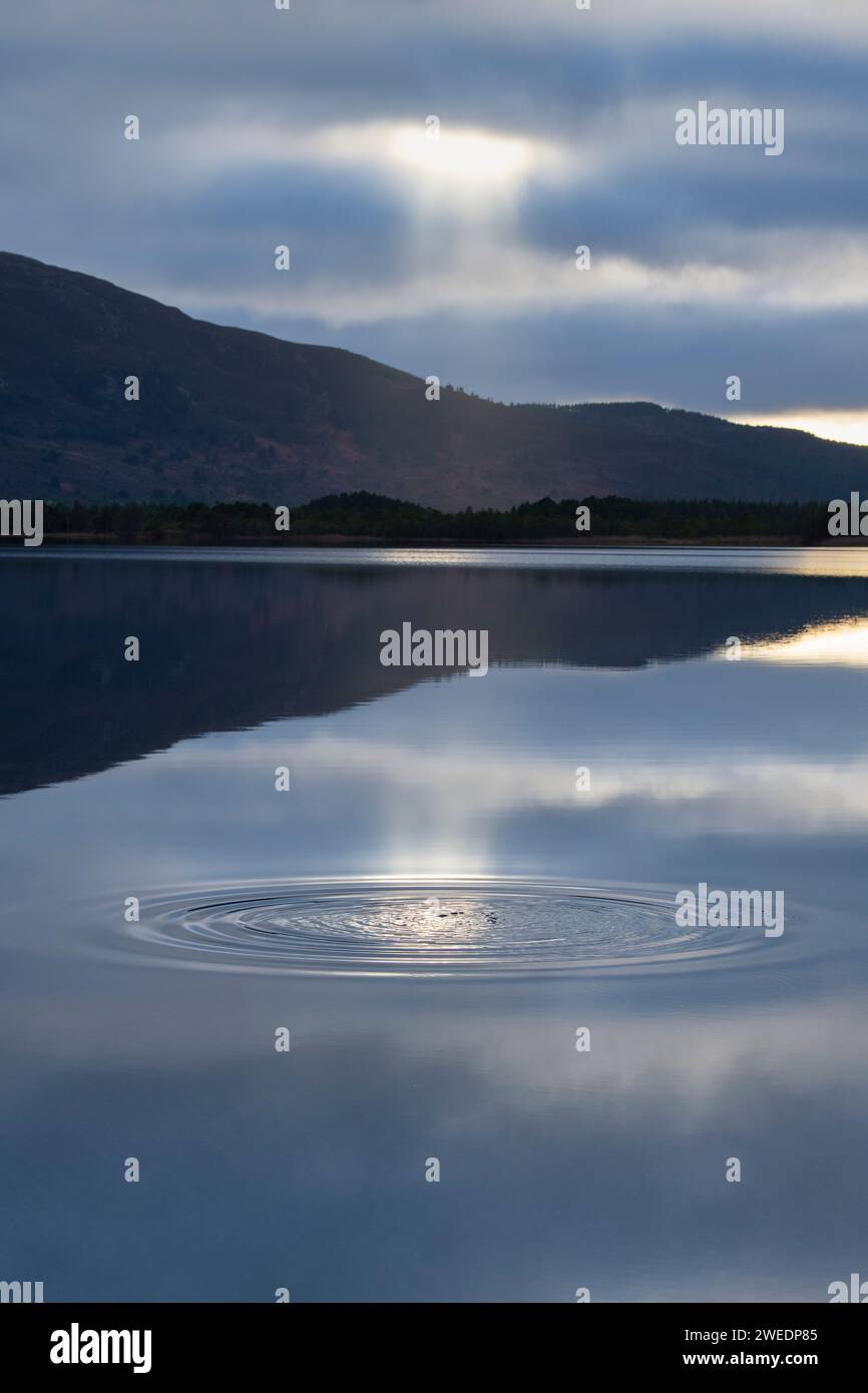 Water ripple on a still loch in winter. Loch Garten, Highlands, Scotland Stock Photo