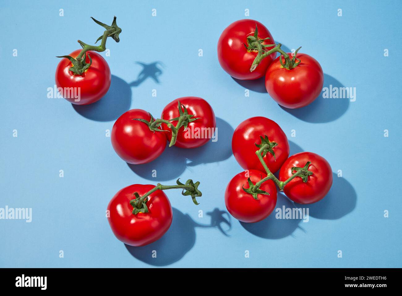 Top view of red ripe fresh tomatoes arranged randomly on a blue background. Minimal scene for advertising product with tomato ingredient. Stock Photo