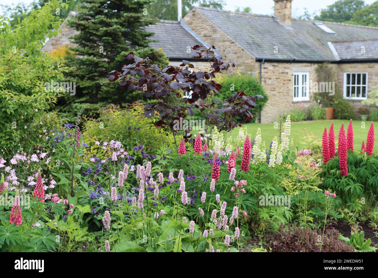 Countryside cottage garden with a bed of colourful flowers Stock Photo ...