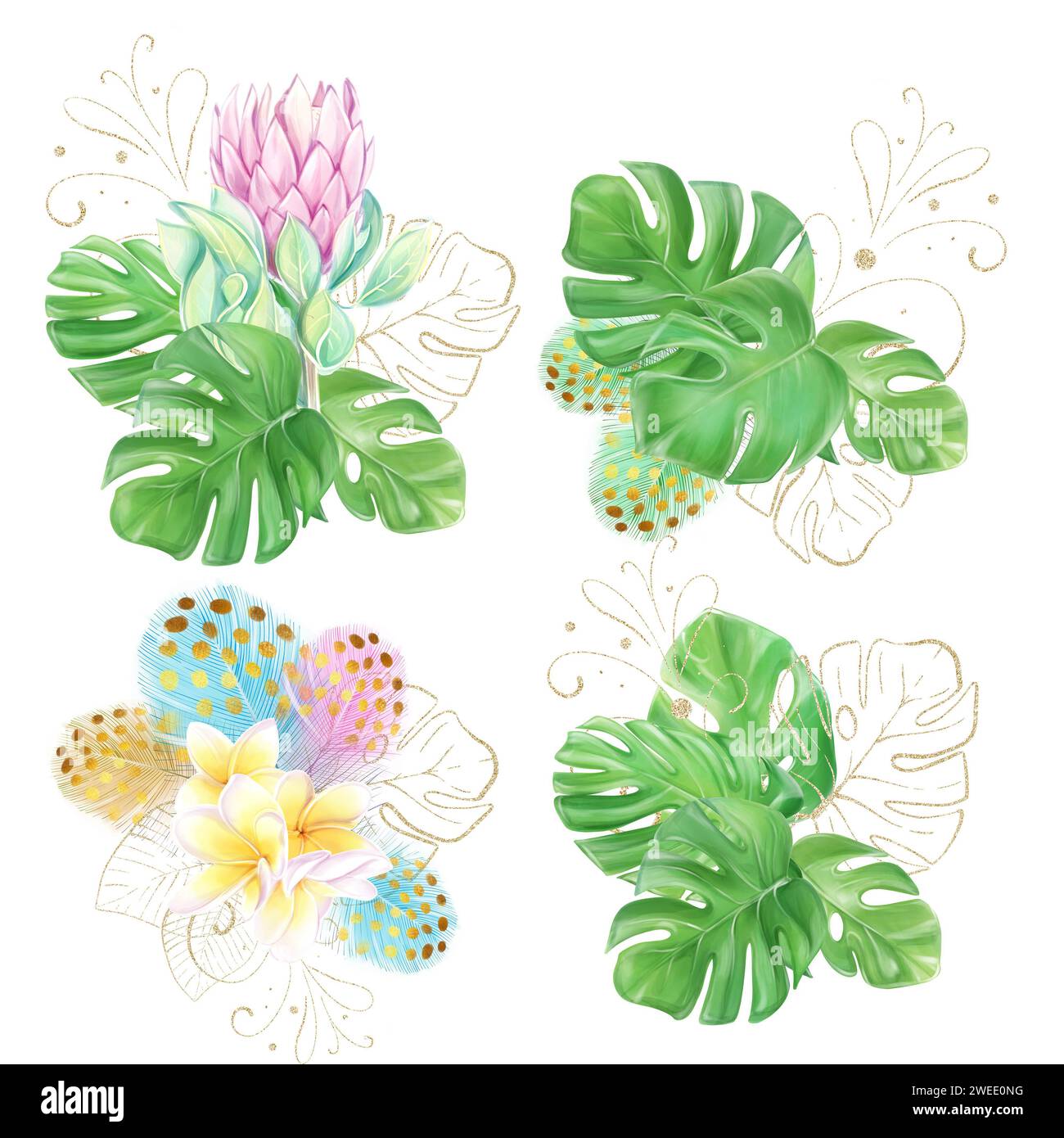 A set of watercolor illustrations, bouquets with colorful feathers and frangipani. Pink protea. Tropical flowers and monstera leaves. Hawaiian design. Stock Photo