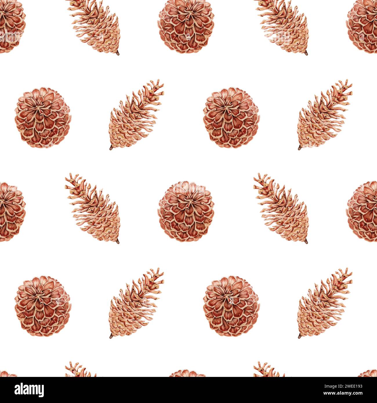 Seamless pattern with realistic hand drawn pine cones. Watercolor ...