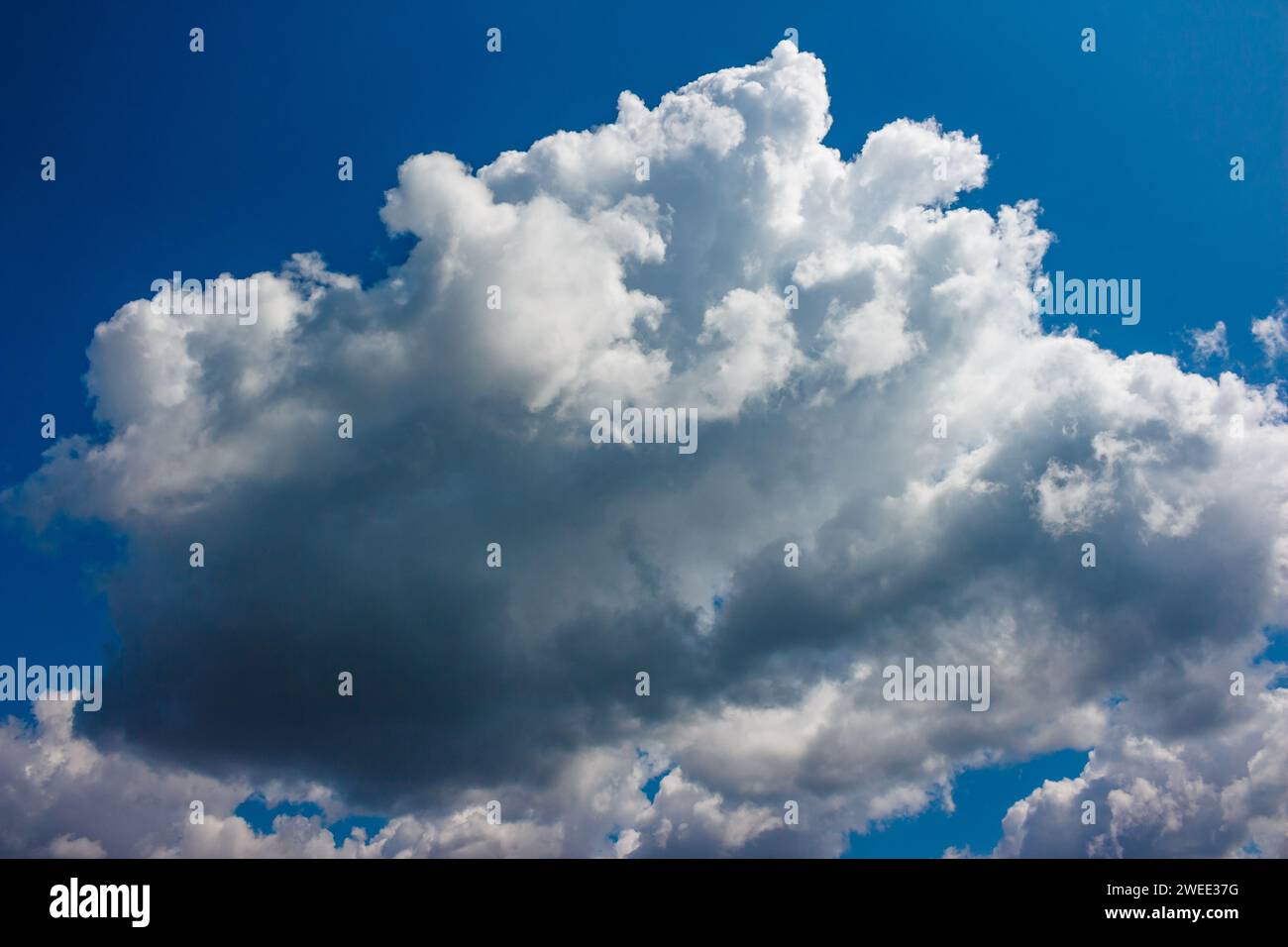 Large white cumulus cloud floating across the blue sky Stock Photo - Alamy