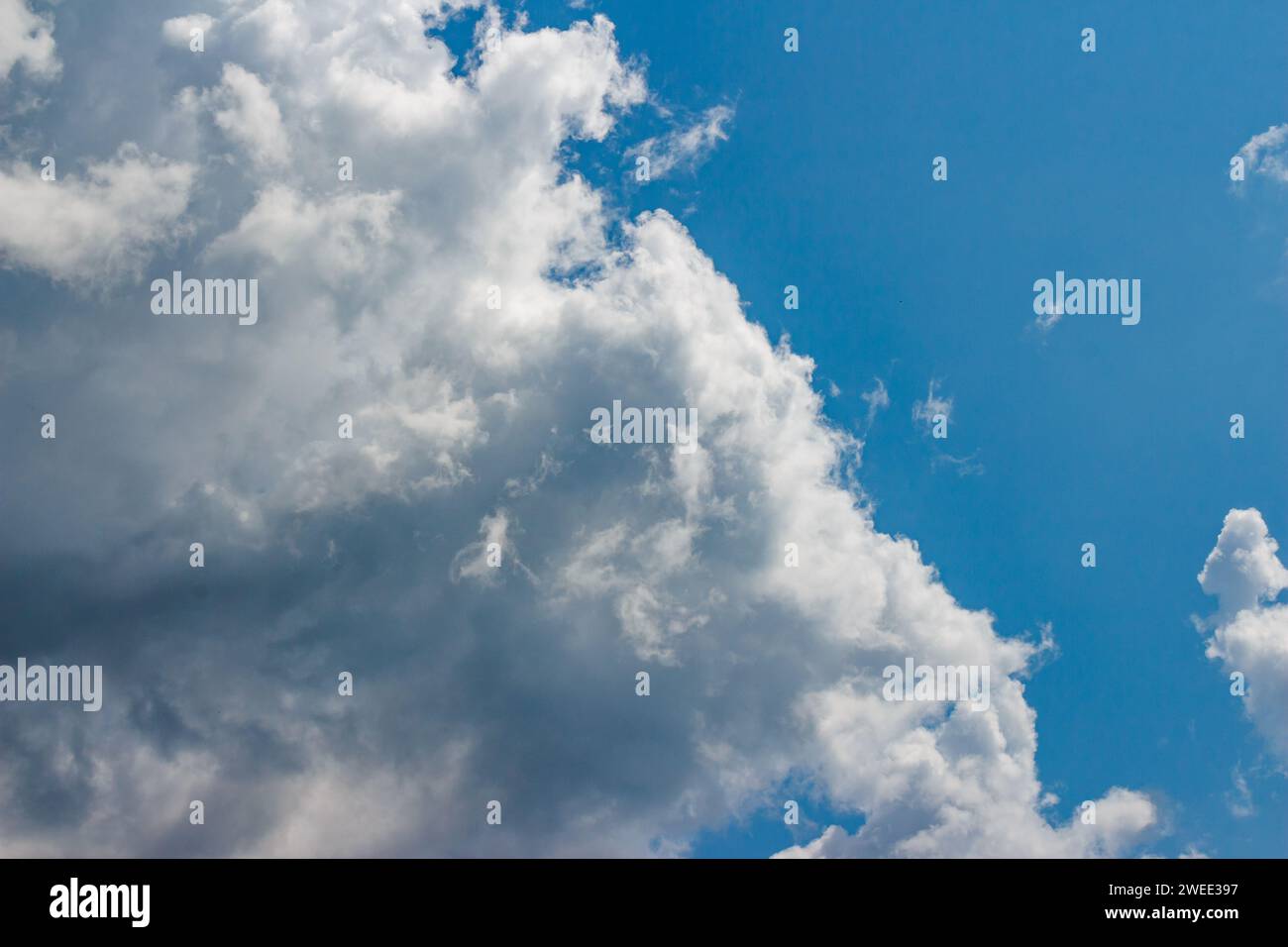 Large white cumulus cloud floating across the blue sky Stock Photo - Alamy