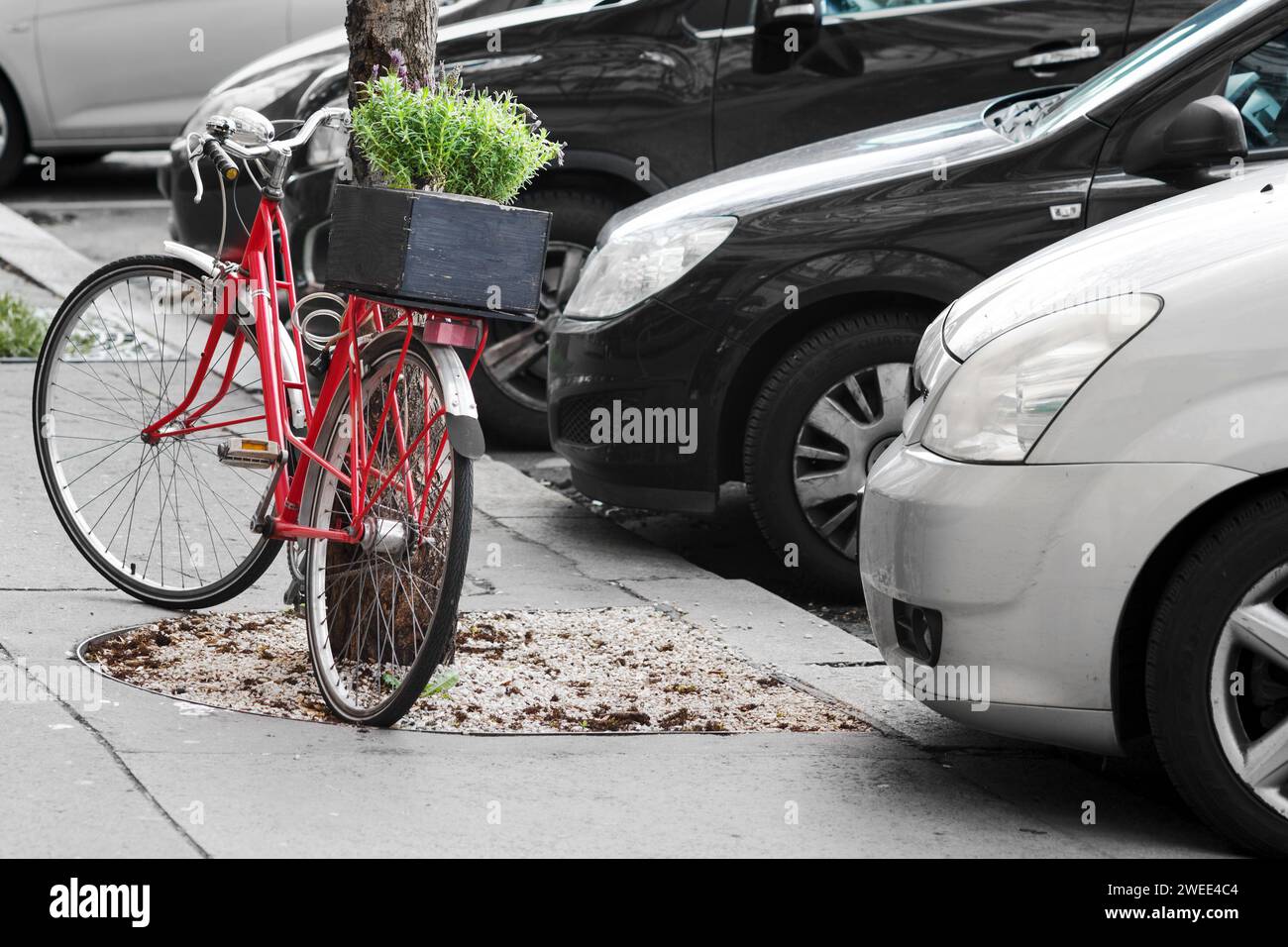 Cars bicycle hi-res stock photography and images - Alamy