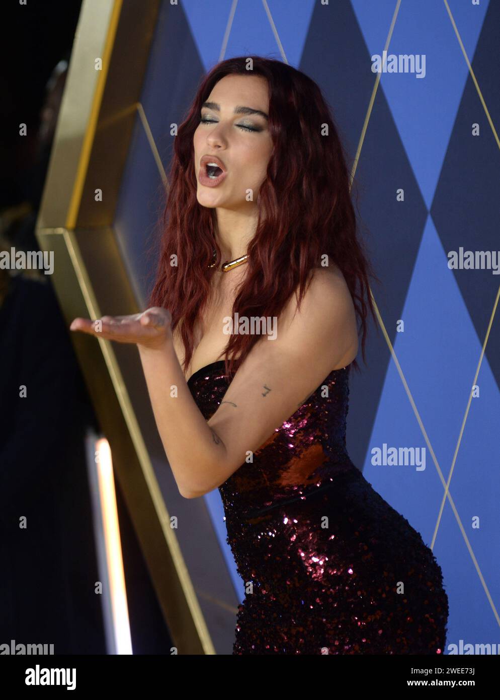 Photo Must Be Credited ©Alpha Press 078237 24/01/2024 Dua Lipa Argylle(01)