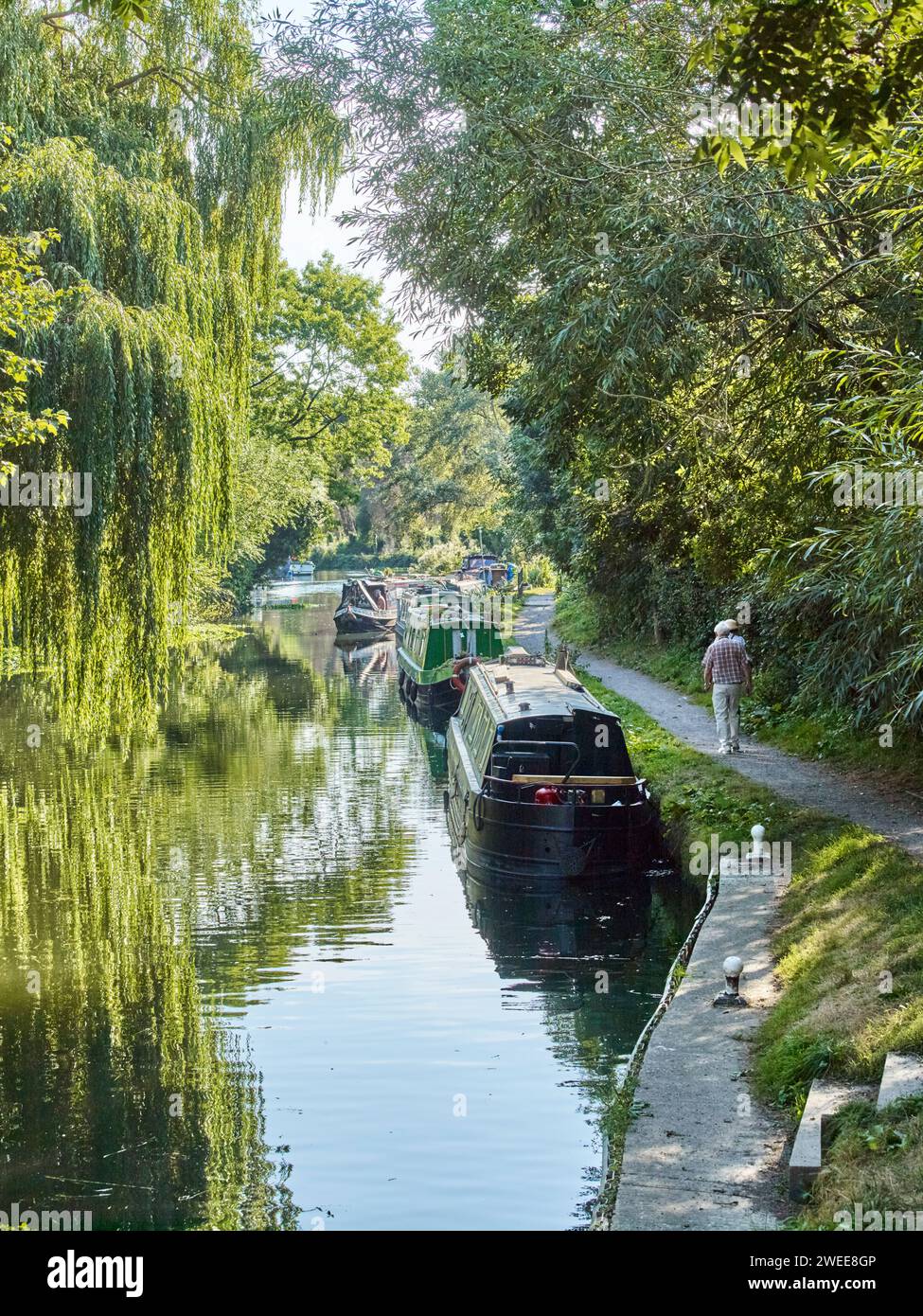 House boats on the River Stort Stock Photo