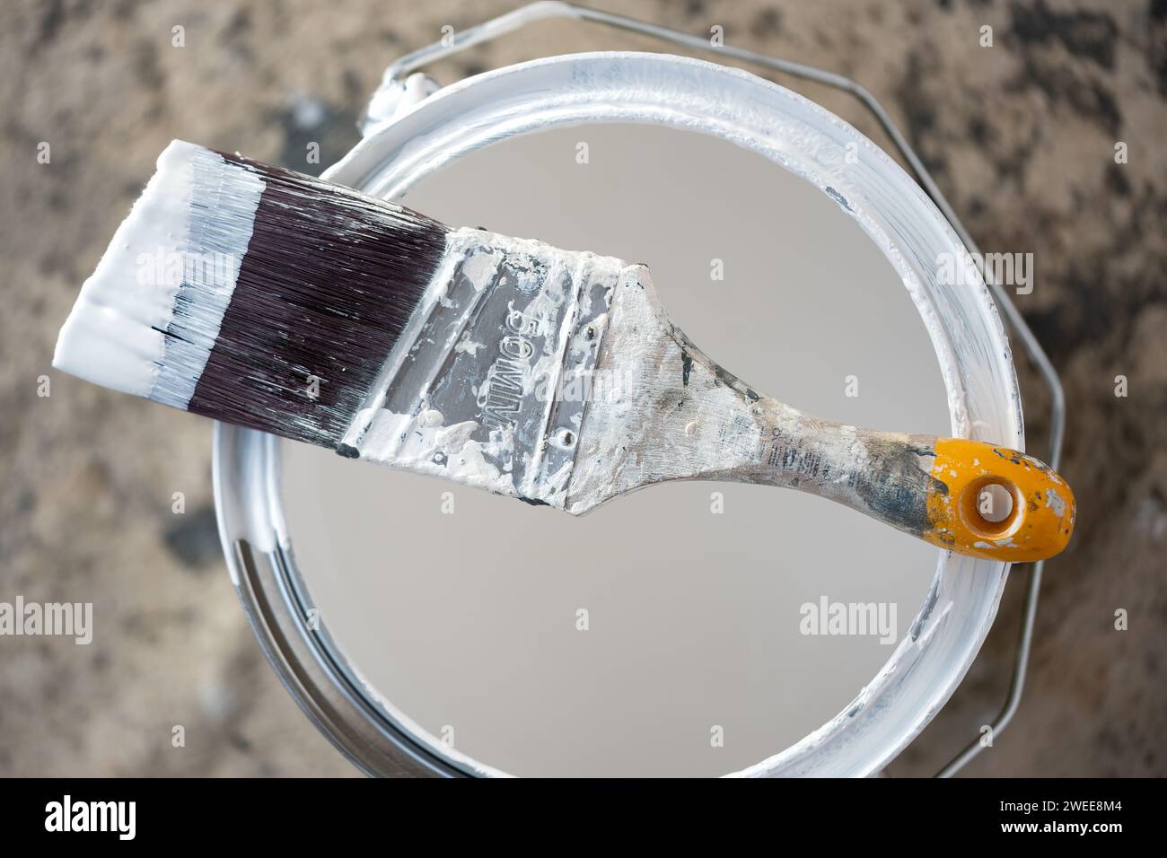 A wooden handled decorators cutting in paint brush with angled bristles  resting on the top of a tin of emulsion paint used for property improvement Stock Photo